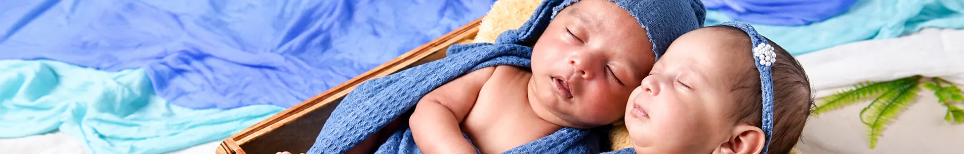 Ashoka Photography Banner 1