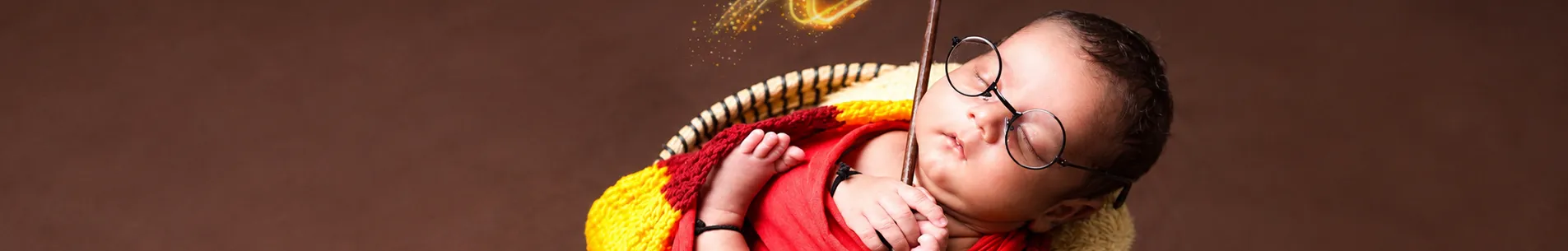 Ashoka Photography Banner 2