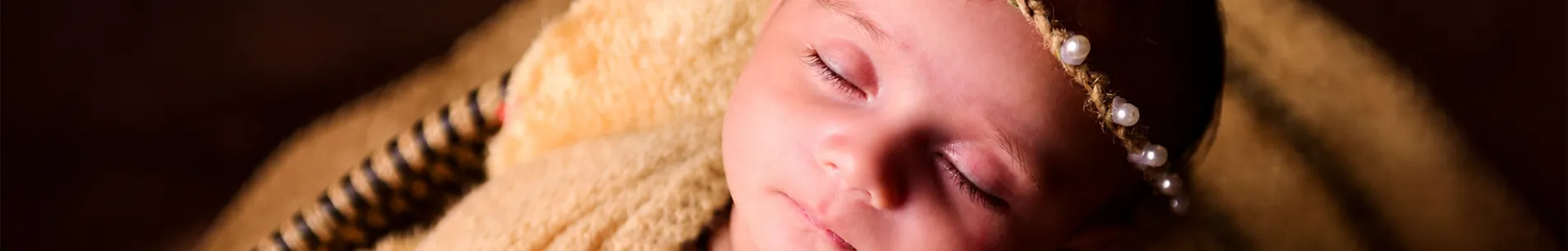Ashoka Photography Banner 5
